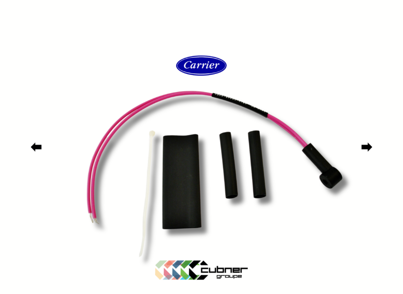 Sonde ambiante / dégivrage Sensor Kit CT 12-00495-02SV