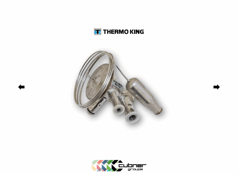 Détendeur Thermo King 61-443 pour groupe froid de container frigorifique